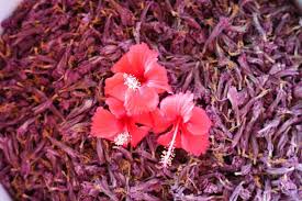 Dry Hibiscus Flowers